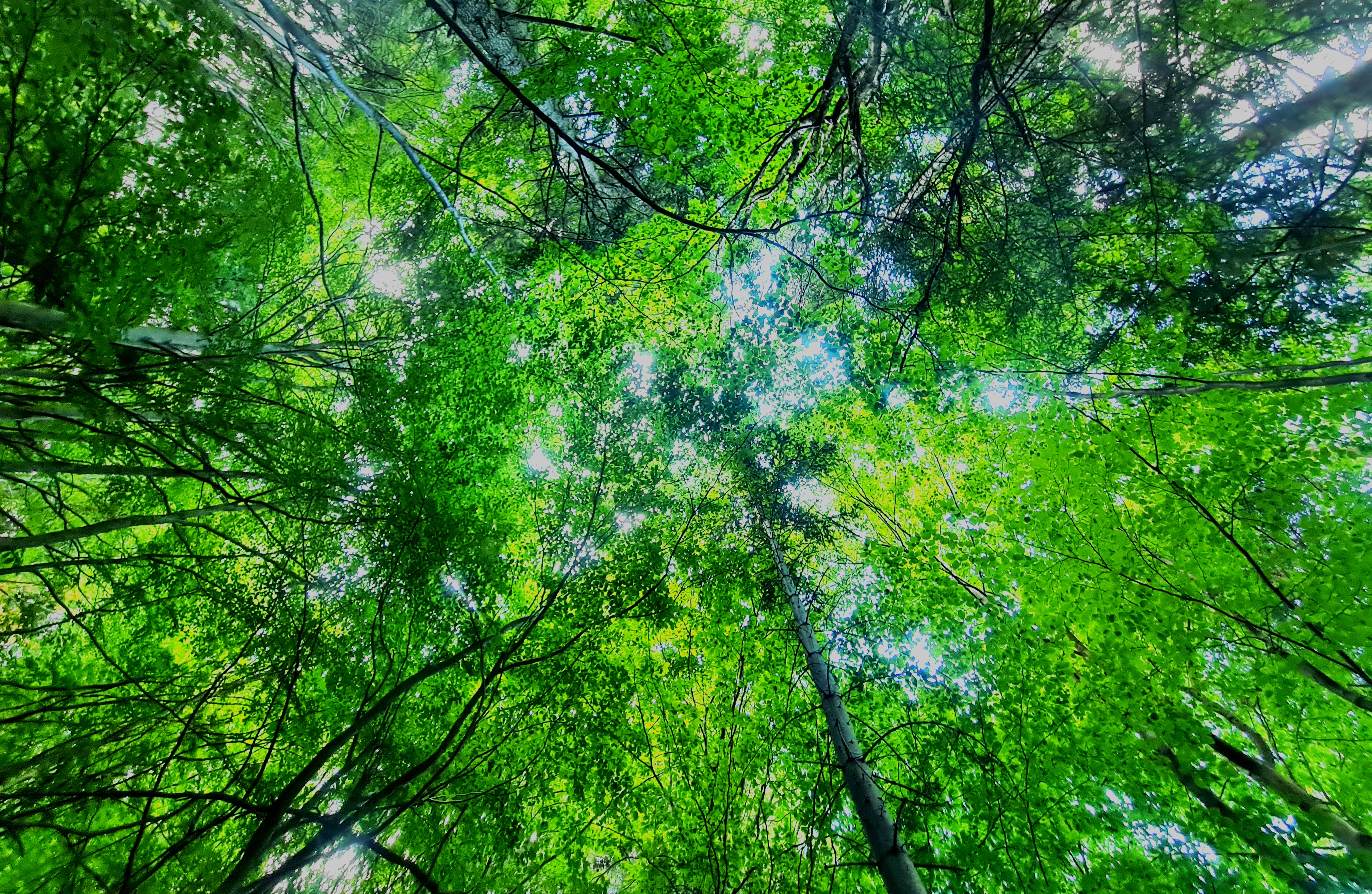 Gestione del territorio